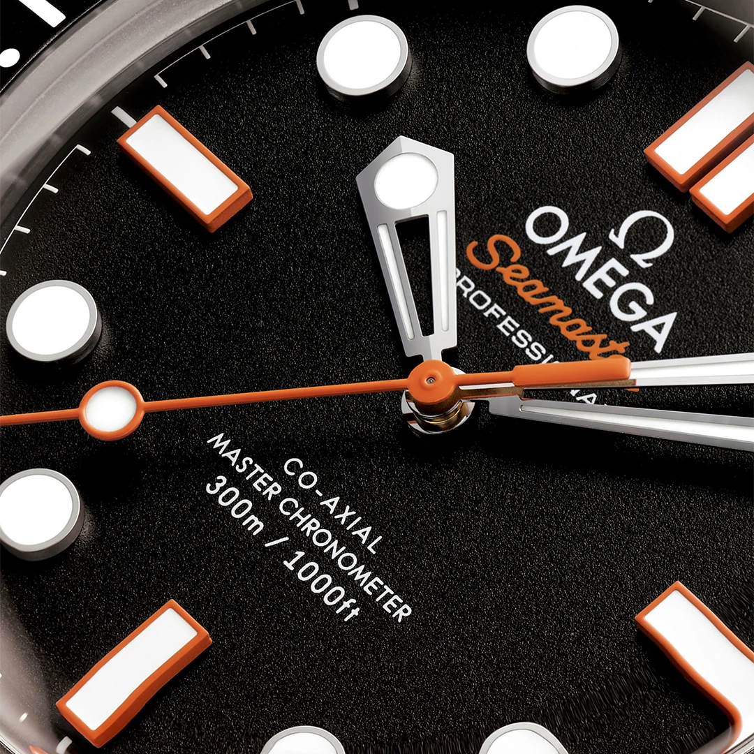 Seamaster Diver 300M 42 mm Steel on Steel - Image 4
