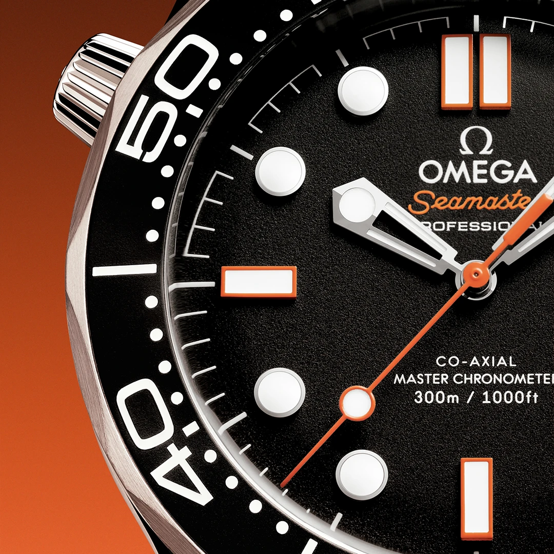 Seamaster Diver 300M 42 mm on Rubber Bracelet - Image 4